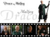 Malfoy Draco.jpg