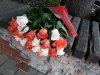 красно-белые розы (2).jpg