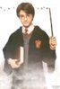 harrywand.jpg