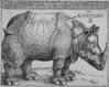 durer-rhinoceros.jpg
