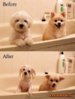 1130144764_dogs-taking-a-bath.jpg