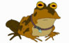 1198949242_hypnotoad.jpg