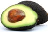 avocado-medium.jpg