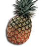 fruit_ananas2.jpg