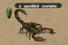 Speckled_scorpion.gif