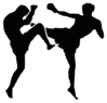 kickboxing-image.gif