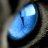 alexx_1977